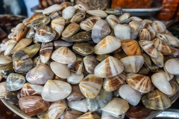 Large pile of sea clams on Nong Mon Market in Chon Buri, Thailan — Stock Photo, Image