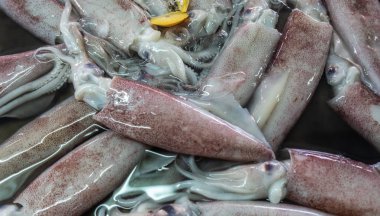 Chon Buri 'deki Nong Mon pazarında beyaz kestane rengi mürekkep balıklarıyla dolu bir leğen., 