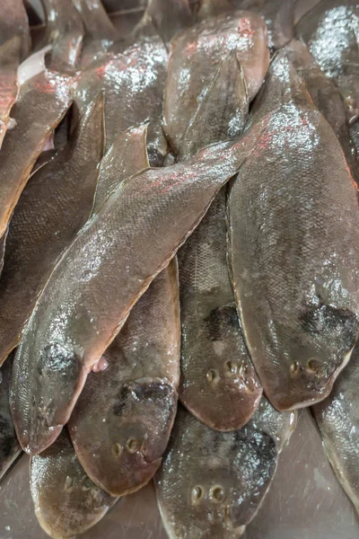 Heap of flat fishes on Nong Mon Market em Chon Buri, Tailândia . — Fotografia de Stock