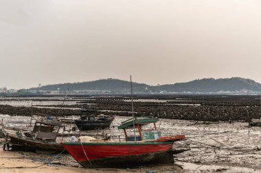 Ban Bai Bua, Tayland 'da küçük şalgam ve istiridye yatakları.