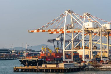 Sinar Solo büyük konteyner gemisi Laem Chabang Tha 'da çalışıyor.