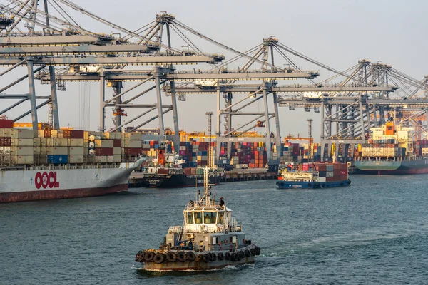 Linhas de guindastes, contêineres e navios em Laem Chabang Tailândia . — Fotografia de Stock