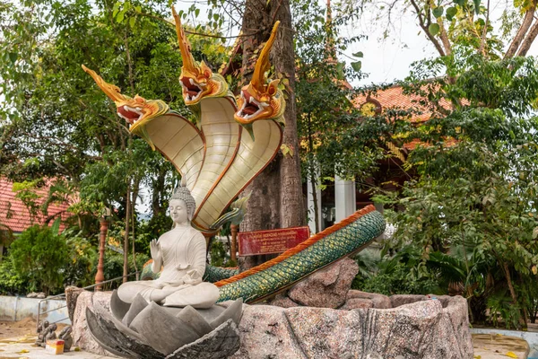 Bodhisattva with snakes statue under Ficus Religiosa tree on Ko — Stock Photo, Image