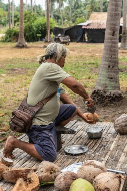 İkinci aşama, Ko Samui Adası 'nda hasat edilen hindistan cevizi mezozofunun açılması.