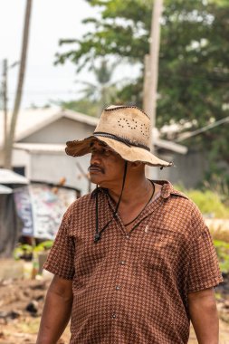 Tayland, Ko Samui Adası 'ndaki hindistan cevizi hasatçısının portresi..
