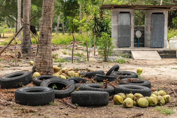 Sanita pública na plantação de coco na Ilha Ko Samui, Tailândia — Fotografia de Stock