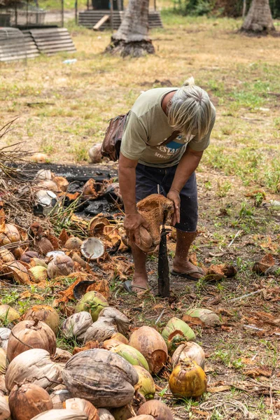 Fase uno, descascarillado del coco cosechado en la isla de Ko Samui, T —  Fotos de Stock