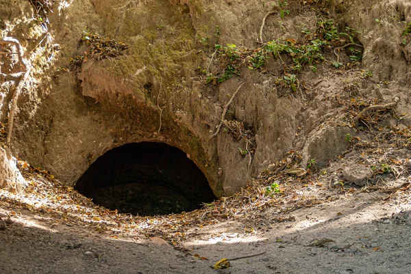 2008年11月27日 ニカラグアのレオン遺跡 緑の葉を持つ茶色の土の下の人工洞窟への入り口の穴 — ストック写真