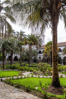 Quito, Ekvador - 2 Aralık 2008: Şehir merkezi tarihi. Palmiye ağaçları, önlükler ve Santo Domingo manastırının yeşil bahçesi olan bir avlu. Beyaz Kilise Kulesi. Hepsi gümüş gökyüzünün altında.