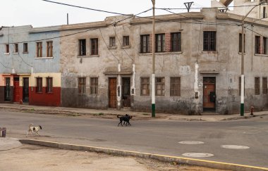 Lima, Peru - 4 Aralık 2008: Sokak köpekleriyle boş bir sokakta basit evler. Boyanmamış beton duvarlar, kahverengi kapılar ve elektrik kabloları..