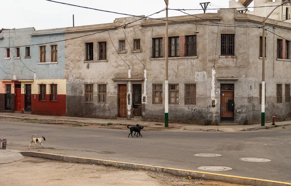2008年 平成20年 12月4日 ペルー リマ市 野良犬のいる商店街に簡易住宅 塗装されていないセメントの壁 茶色のドア 電気配線 — ストック写真