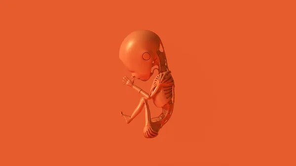 Оранжевый Футуристический Искусственный Интеллект Эмбрион Ребенок Иллюстрация Рендеринг — стоковое фото