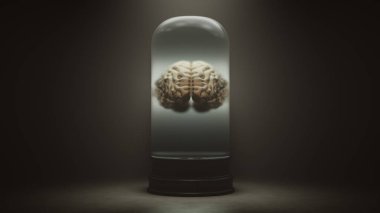 Human Brain Floating in a Liquid in a Bell Jar with a Dark Foggy Background 3d illustration 3d render clipart