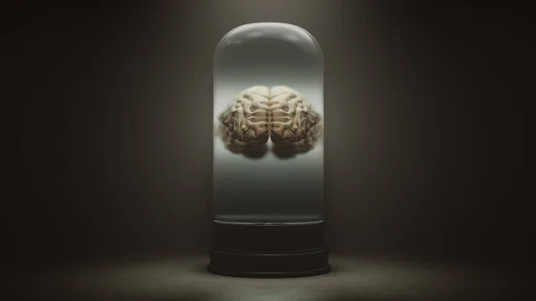 Mänskliga Hjärnan Flyter Vätska Klockburk Med Mörk Dimmigt Bakgrund Illustration — Stockfoto
