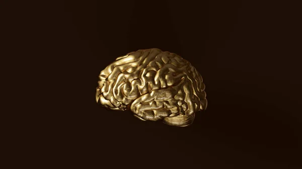 Negro Oro Cerebro Humano Modelo Anatómico Ilustración — Foto de Stock