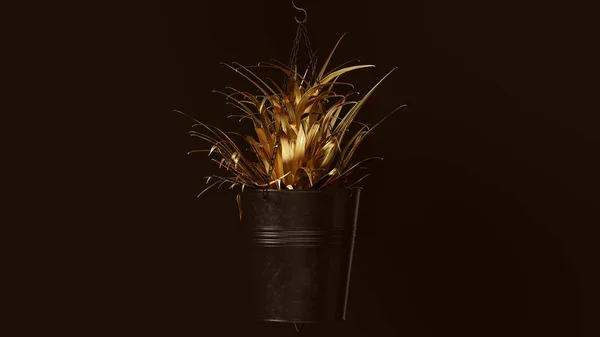 Gold Spider Plant Fekete Vödör Plant Pot Illusztráció — Stock Fotó