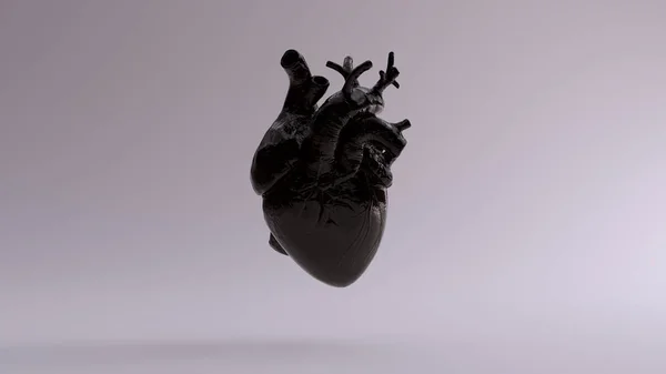 Corazón Anatómico Negro Ilustración Render — Foto de Stock