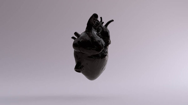 Black Anatomical Heart 3d illustration 3d render 
