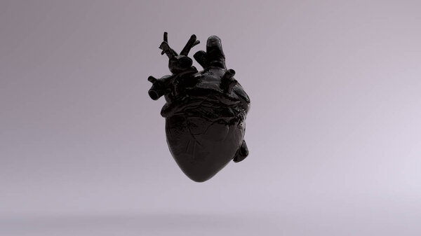 Black Anatomical Heart 3d illustration 3d render 