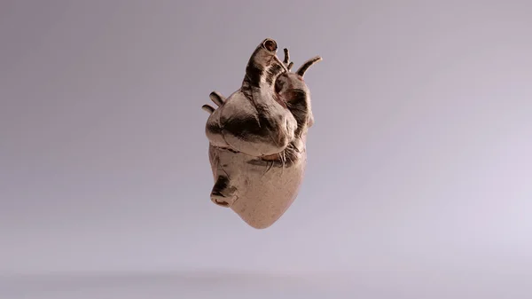 ブロンズ解剖学的ハート3Dイラスト3Dレンダー — ストック写真