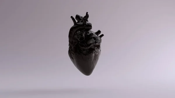 Black Anatomical Heart Ilustrație Render — Fotografie, imagine de stoc