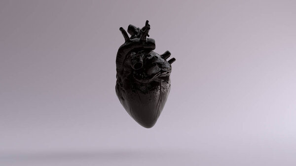 Black Anatomical Heart 3d illustration 3d render 