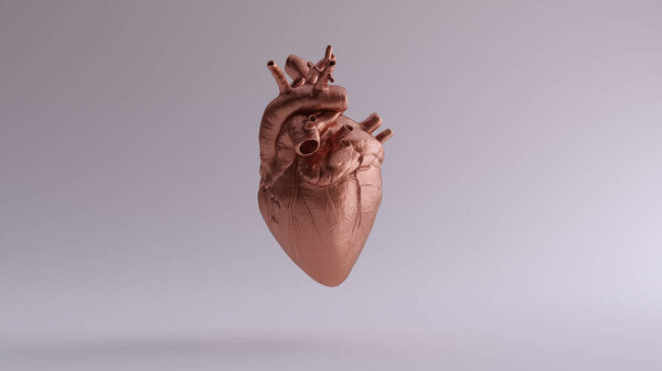 Copper Heart Anatomical 3d illustration 3d render