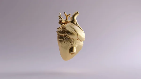 Gold Anatomical Heart 3d illustration 3d render