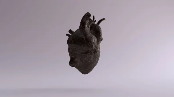 Old Dusty Iron Heart Anatomical Illustration Render — Stock Photo, Image
