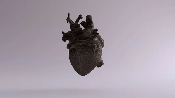 Old Dusty Iron Heart Anatomical Illustration Render — Stock Photo, Image