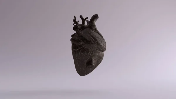 Vecchio Dusty Iron Heart Anatomical Illustrazione Rendering — Foto Stock