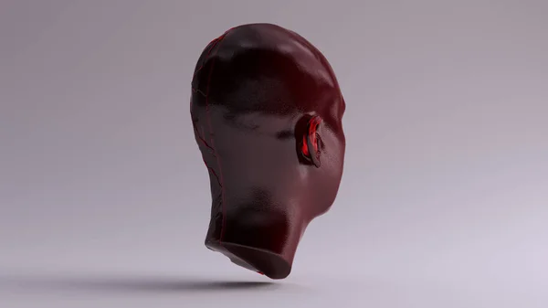 Czerwona Przezroczysta Anatomiczna Ecorche Human Head Ilustracja — Zdjęcie stockowe