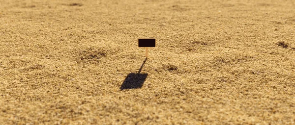 Close Wooden Sign Stuck Particles Sand Sunny Depth Field Day — Stock Photo, Image