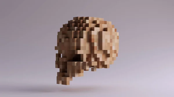 Teschio Legno Pixelated Fatto Cubi Illustrazione — Foto Stock