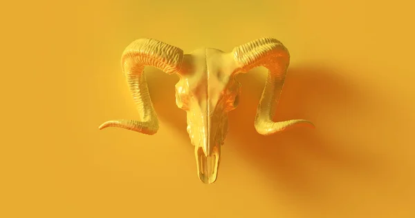 Yellow Ram Skull — стокове фото