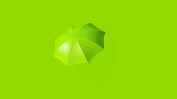 Paraguas Verde Ilustración Renderizado — Foto de Stock