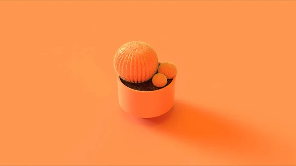 オレンジピーチサボテン3Dイラスト — ストック写真
