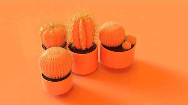 Naranja Melocotón Cactus Ilustración —  Fotos de Stock