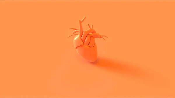 オレンジ解剖学的ハートコンセプト3Dイラスト3Dレンダリング — ストック写真