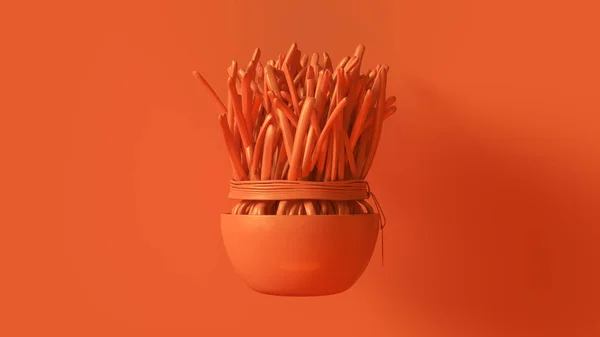 Orange Succulent with Orange Plant Pot 3d illustration