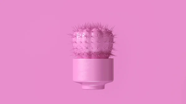Roze Cactus Pot Illustratie — Stockfoto
