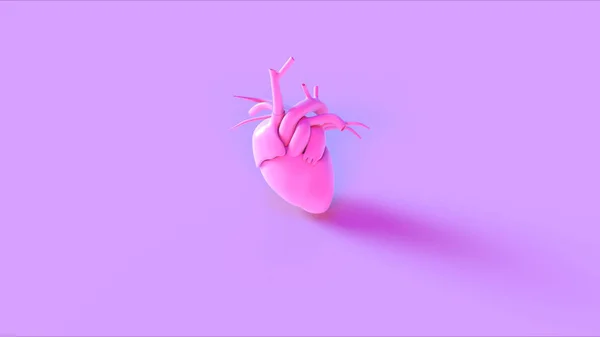 ピンク解剖学ハートコンセプト3Dイラスト3Dレンダリング — ストック写真