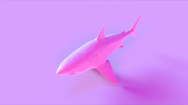 Rosa Grande Tubarão Branco Ilustração Renderização — Fotografia de Stock