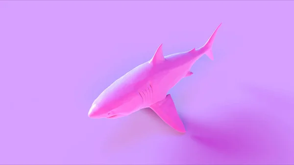 Grand Requin Blanc Rose Illustration Rendu — Photo