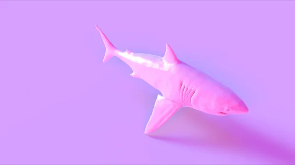 粉红色大白鲨3D插图3D渲染 — 图库照片