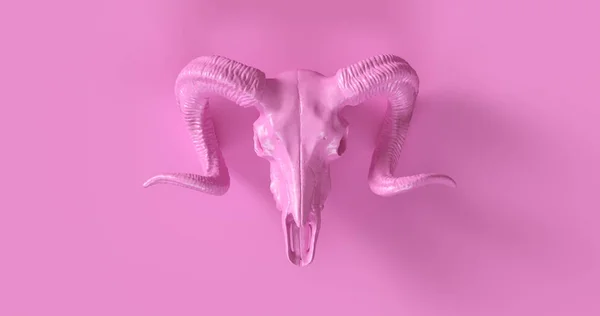 Рожевий Ram Череп Ілюстрація — стокове фото
