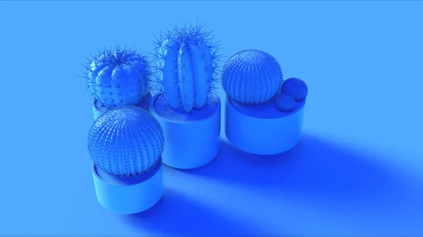 Blue Cactus Plants Render Illustration — Stock Photo, Image