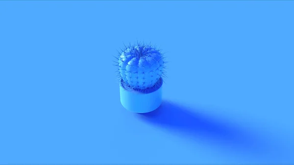 Blue Cactus Renderizar Ilustração — Fotografia de Stock