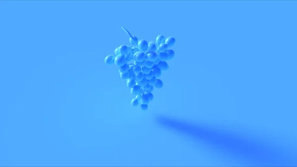 Blue Grapes Illustration — Stock Photo, Image