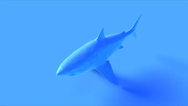 Blauwe Grote Witte Haai Illustratie Renderen — Stockfoto